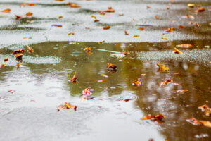 Puddle on Drive